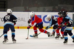 Lvi b